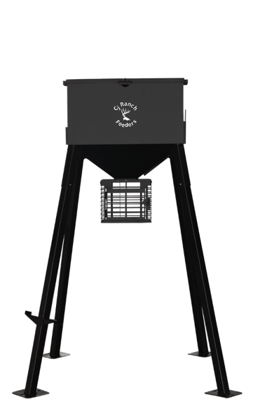 M2 M2